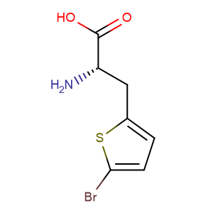 (S)-2-Amino-3-(5-bromothiophen-2-yl)propanoic acid,CAS No. 154593-58-5.