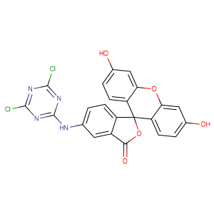 5-(4,6-Dichlorotriazinyl)aminofluorescein,CAS No. 51306-35-5.
